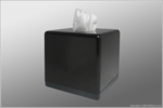 Tissue Box SleuthGear&#8482; Recluse