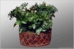 Plant Covert Camera - Color -  Wireless