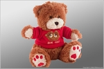 Teddy Bear - B/W - Hardwired